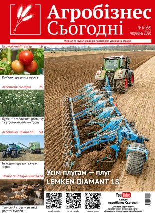Кінцевий383