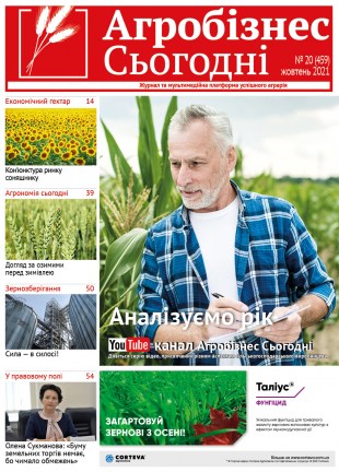 Окончательный317