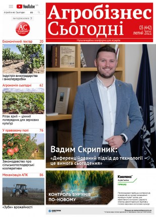 Окончательный33937