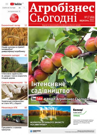 Окончательный386