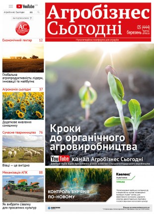 Окончательный397